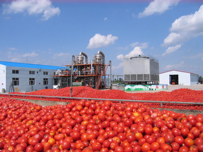 Arkhum (Tianjin) Health Technology Co., Ltd. γραμμή παραγωγής κατασκευαστών